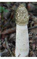 Common Stinkhorn Phallus Impudicus Mushroom Journal: Take Notes, Write Down Memories in this 150 Page Lined Journal