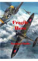 Fragile Hero