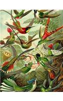 Haeckel's Hummingbirds Graph Paper Composition Notebook: 4x4 Squares