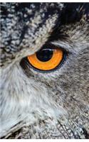 The Hacker-Proof Internet Address Password Book - Owl Eyes