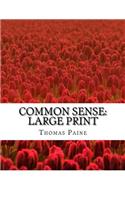 Common Sense: Large Print