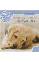 Baby Animals Bilingual