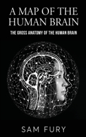 Map of the Human Brain