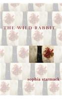 The Wild Rabbit