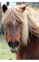 Haflinger Horse with a Wind Swept Mane Journal