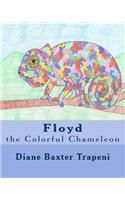 Floyd the Colorful Chameleon