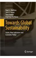 Towards Global Sustainability