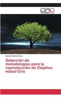 Selección de metodologías para la reproducción de Ziziphus mistol Gris