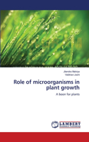 Role of microorganisms in plant growth