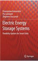 Electric Energy Storage Systems
