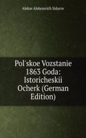 Pol'skoe Vozstanie 1863 Goda: Istoricheskii Ocherk (German Edition)