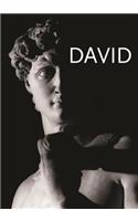 Michelangelo's David