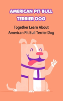 American Pit Bull Terrier Dog