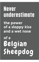 Never underestimate the power of a sloppy kiss and a wet nose of a Belgian Sheepdog: For Belgian Sheepdog Fans