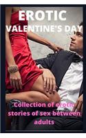 Erotic Valentine's Day: Collection of erotic stories of sex between adults
