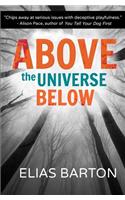 Above the Universe Below