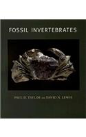 Fossil Invertebrates