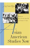 Asian American Studies Now: A Critical Reader