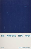 Windows Flew Open