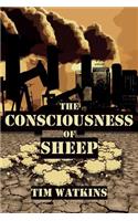 Consciousness of Sheep