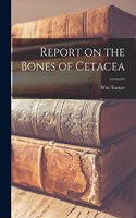 Report on the Bones of Cetacea