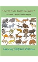 Terrestrial Land Animals 7