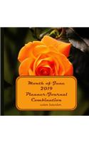Month of June 2019 Planner/Journal Combination: Sixth Month in the lined Planner/Journal Combo Series, color interior, matte cover, paperback, daily guided mindfulness journal, half-hour increment