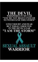 I Am The Storm Sexual Assault Warrior