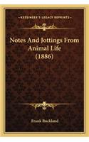 Notes And Jottings From Animal Life (1886)