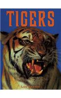 Tigers