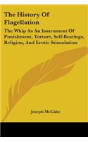 The History Of Flagellation: The Whip As An Instrument Of Punishment, Torture, Self-Beatings, Religion, And Erotic Stimulation(English)