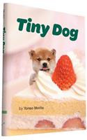 Tiny Dog