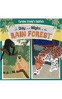 A Day and Night in the Rain Forest