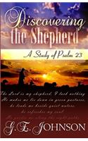 Discovering The Shepherd