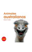 Animales Australianos