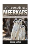 Meerkats: Amazing Pictures and Facts about Meerkats