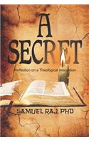 A Secret - Reflection on a Theological Innovation