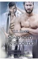 Sono solo un ricordo