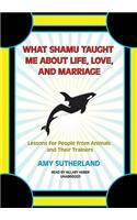 What Shamu Taught Me about Life, Love, and Marriage