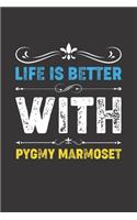 Life Is Better With Pygmy Marmoset