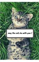 may the cats be with you !