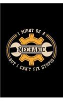 I Might Be Mechanic But I Can't Fix Stupid