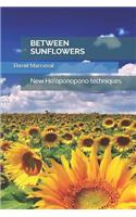 Between Sunflowers: New Ho'oponopono techniques