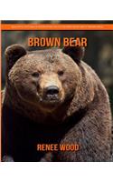 Brown Bear