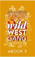 Stories of the Wild West Gang