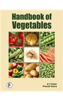 Handbook of Vegetables