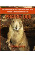 Prairie Dog