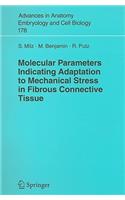 Molecular Parameters Indicating Adaptation to Mechanical Stress in Fibrous Connective Tissue