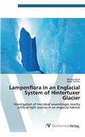 Lampenflora in an Englacial System of Hintertuxer Glacier
