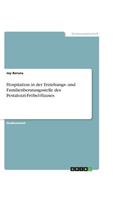 Hospitation in der Erziehungs- und Familienberatungsstelle des Pestalozzi-Fröbel-Hauses